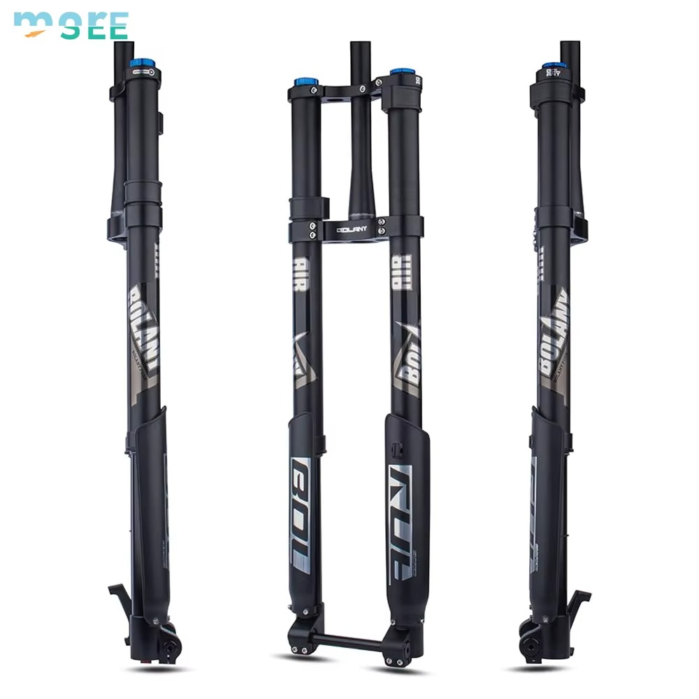 200mm Downhill Forks