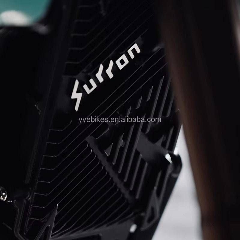 2025 Surron Hyper Bee